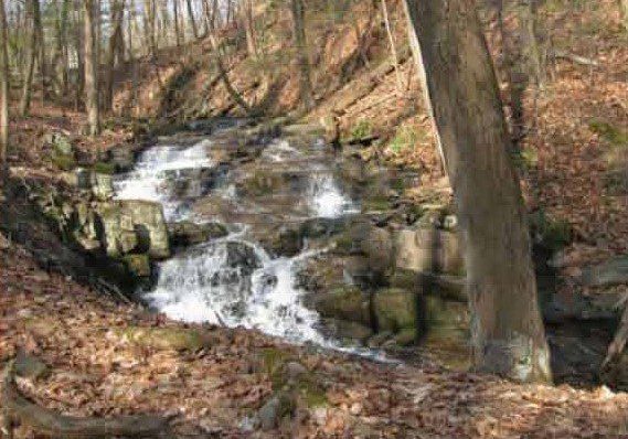 2B,2 - E creek in the woods